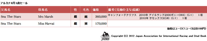 アルカナ8月1歳セール