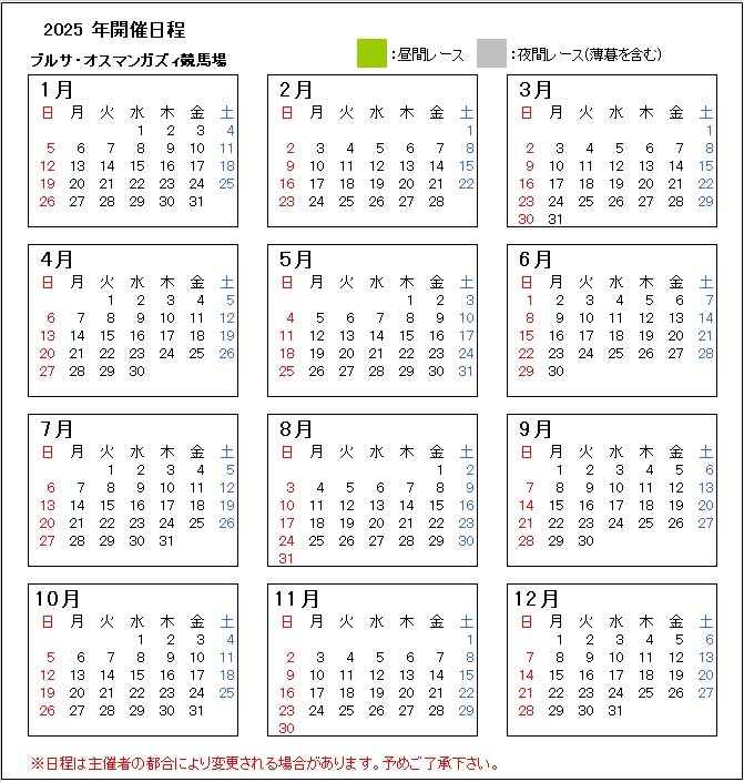 bursa_fixture.jpg