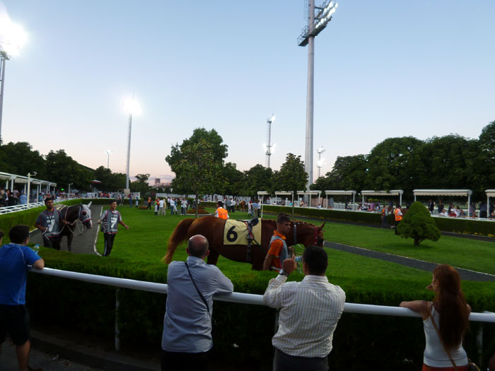 ヴェリエフェンディ競馬場　パドック