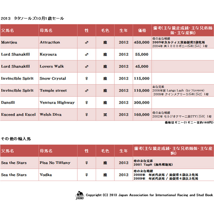 ２０１３年タタソールズ１０月１歳セール