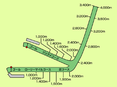 ダウン 場 サン 競馬