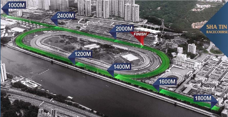 sha tin course.jpg