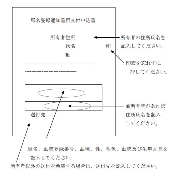 通知書再発行記載要領イメージ.png