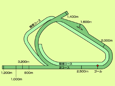 フレミントン競馬場コース図