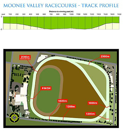 ムーニーヴァレー競馬場コース図