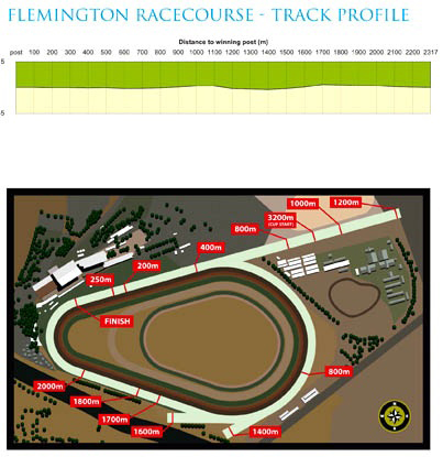 フレミントン競馬場コース図